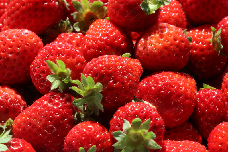 いちご　ラベル候補の写真