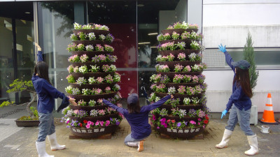 WIN_20250602_15_35_37_Pro