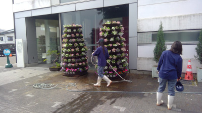 WIN_20250602_15_41_48_Pro