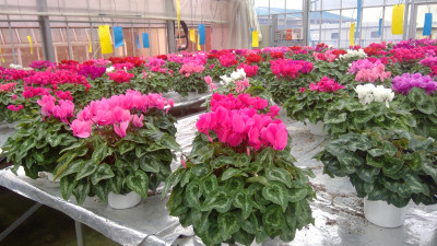 WIN_20251014_12_17_55_Pro