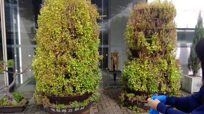 WIN_20251020_09_59_46_Pro