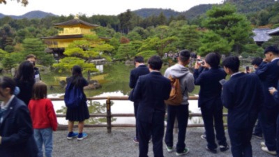 WIN_20251105_15_24_17_Scan