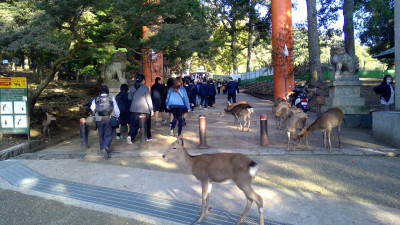 WIN_20251106_15_31_33_Pro